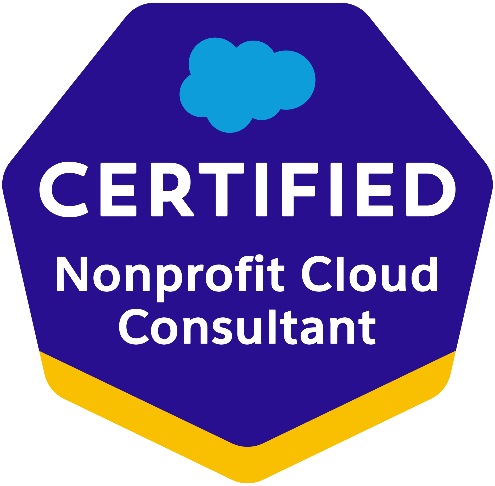 Nonprofit Cloud Consultant certification
